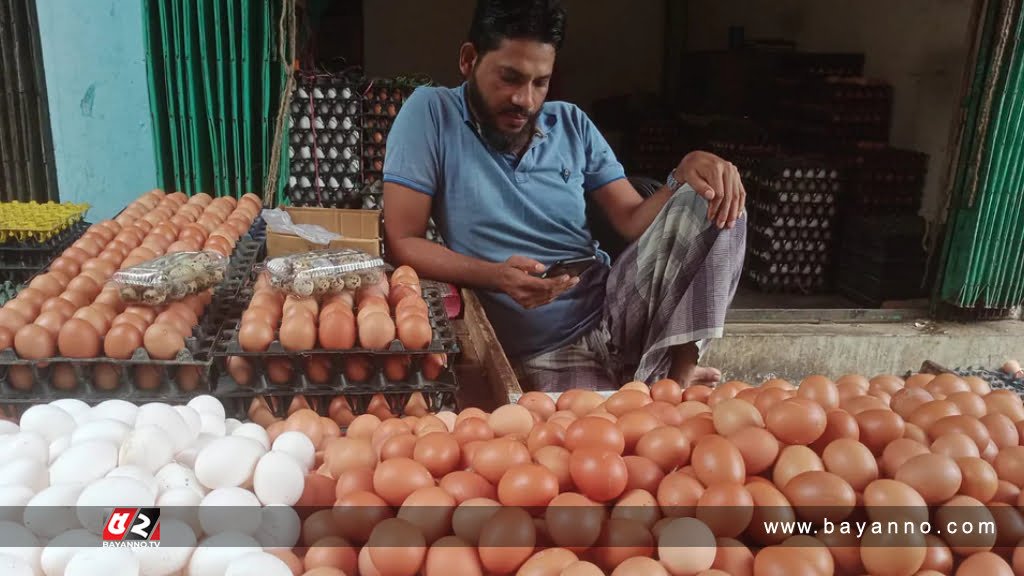 খামারিরা ডিম বিক্রি করছেন ৩১ টাকা হালি