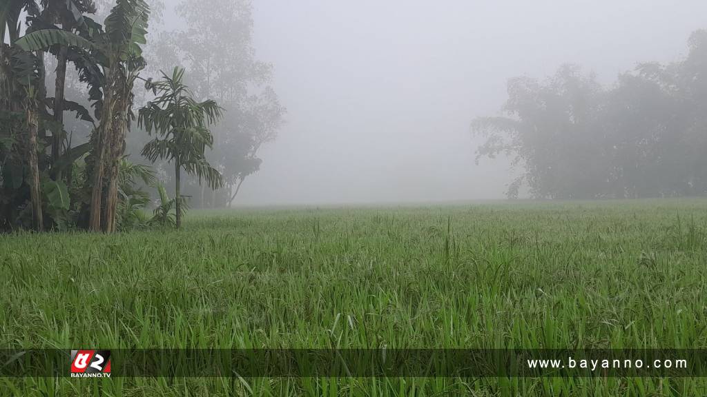 পঞ্চগড়ে দেশের সর্বনিম্ন তাপমাত্রা আজ