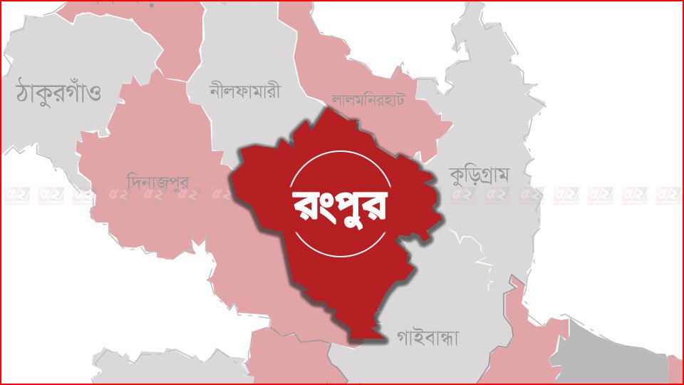 অটো রিক্সার ধাক্কায় ভাপা পিঠা দোকানির মৃত্যু