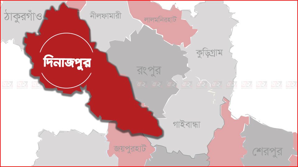 গরু চুরির দায়ে নারীর কারাদণ্ড