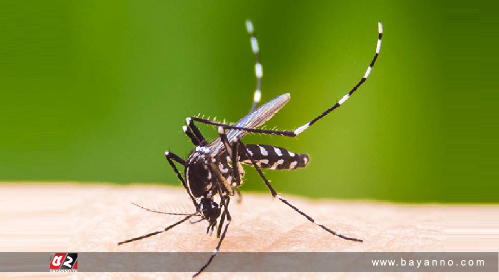 ডেঙ্গুতে আরও তিনজনের মৃত্যু, হাসপাতালে ৪১০