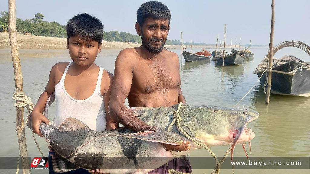 এক বাঘাইড়ে ঘুচলো জেলের অভাব