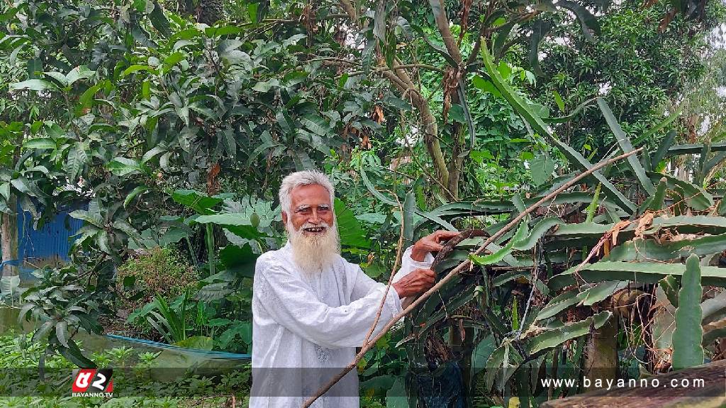 পৃথিবীকে বাঁচাতে লড়ে যাচ্ছেন সবুজ যোদ্ধা