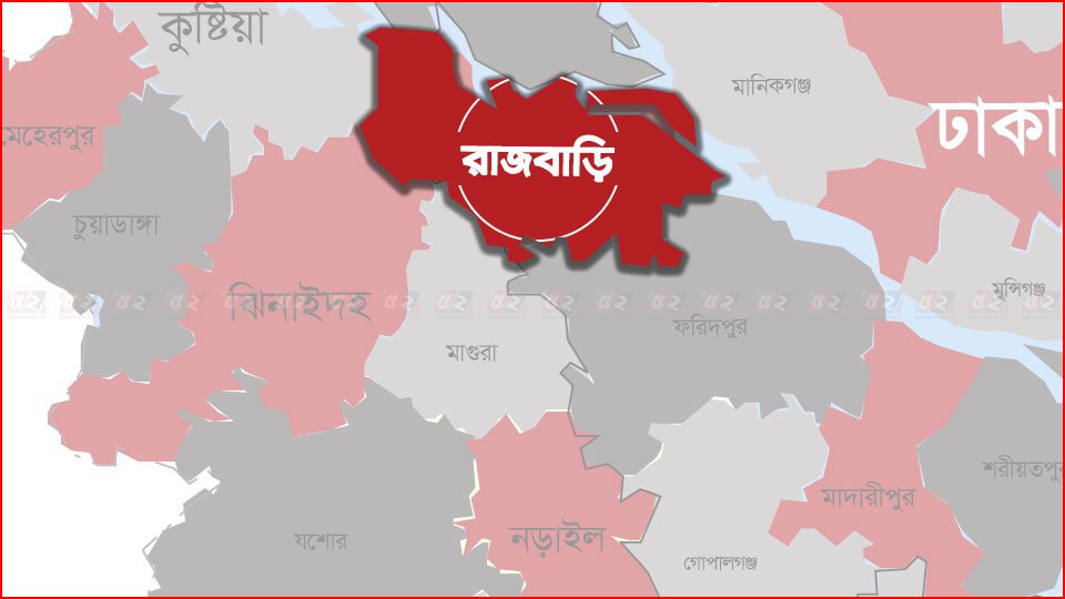 বাসের ধাক্কায় বাইসাইকেল আরোহী নিহত