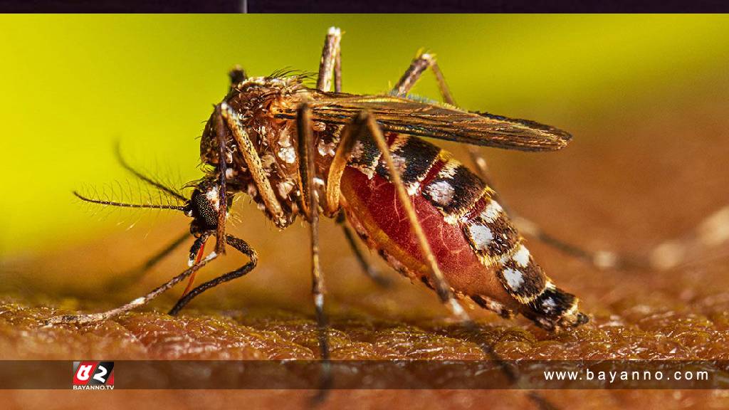 চট্টগ্রামে চোখ রাঙাচ্ছে ডেঙ্গু, একদিনে আক্রান্তের নতুন রেকর্ড