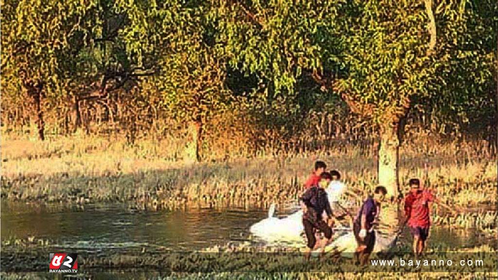 কক্সবাজারে একদিনে ৪ মরদেহ উদ্ধার করেছে পুলিশ