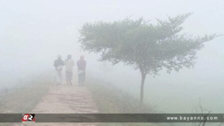 শৈত্যপ্রবাহে