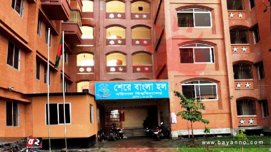 মুখোশধারী দুর্বৃত্তদের হাতে ছাত্রলীগ নেতা জখম