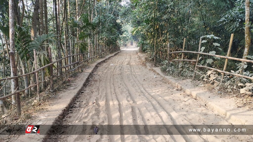 রাস্তার ইট তুলে নিলেন মেম্বার-চেয়ারম্যান