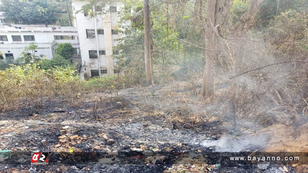 কুবির পাহাড়ে ফের আগুন