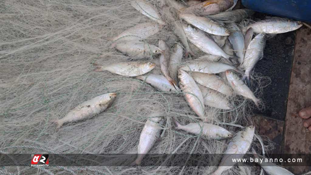 ৩১ মার্চ-৪ এপ্রিল পর্যন্ত উদযাপিত হবে জাটকা সংরক্ষণ সপ্তাহ