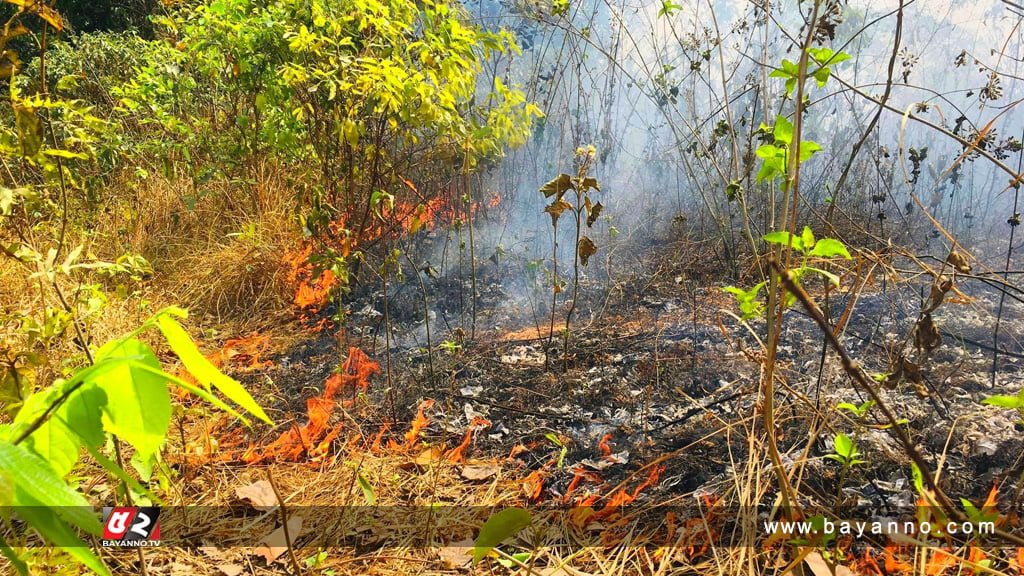 কুমিল্লা বিশ্ববিদ্যালয়ের পাহাড়ে ফের আগুন