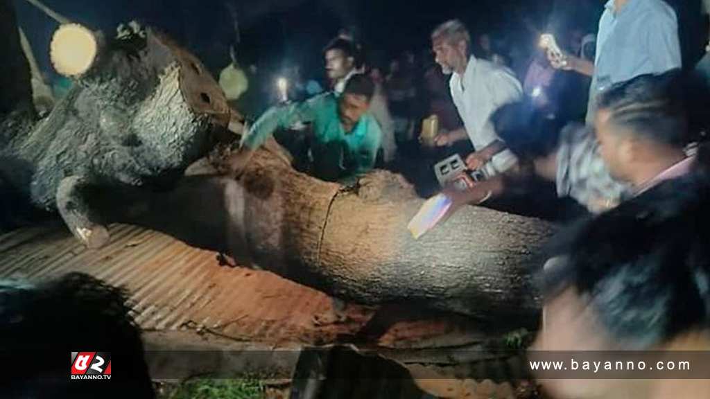 ভারতে মন্দিরের সামনে গাছ ভেঙে নিহত ৭