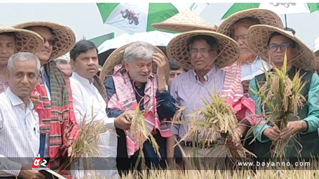 হাওরে একসঙ্গে ধান কাটলেন তিন মন্ত্রী