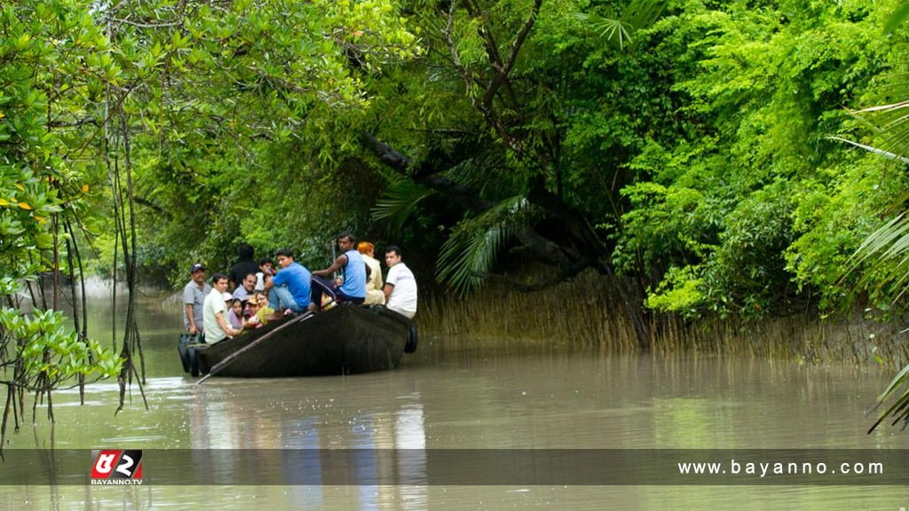 সুন্দরবনে প্লাস্টিক ব্যবহার নিষিদ্ধ