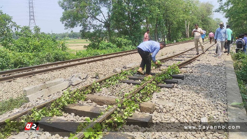 রেললাইন ঠান্ডা করতে কচুরিপানা থেরাপি