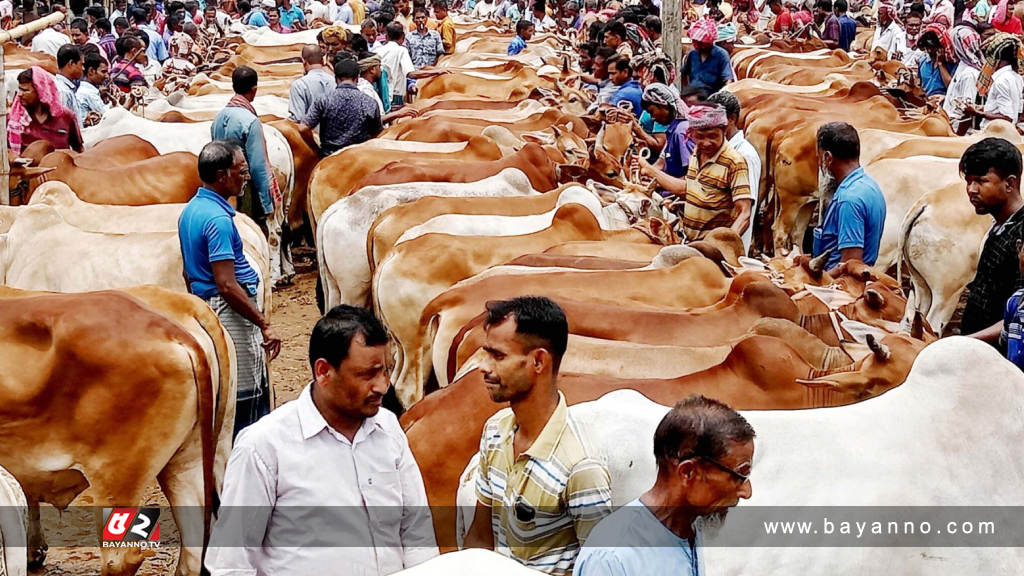 আফতাবনগরে গরুর হাটের ইজারা স্থগিতের মেয়াদ বাড়লো