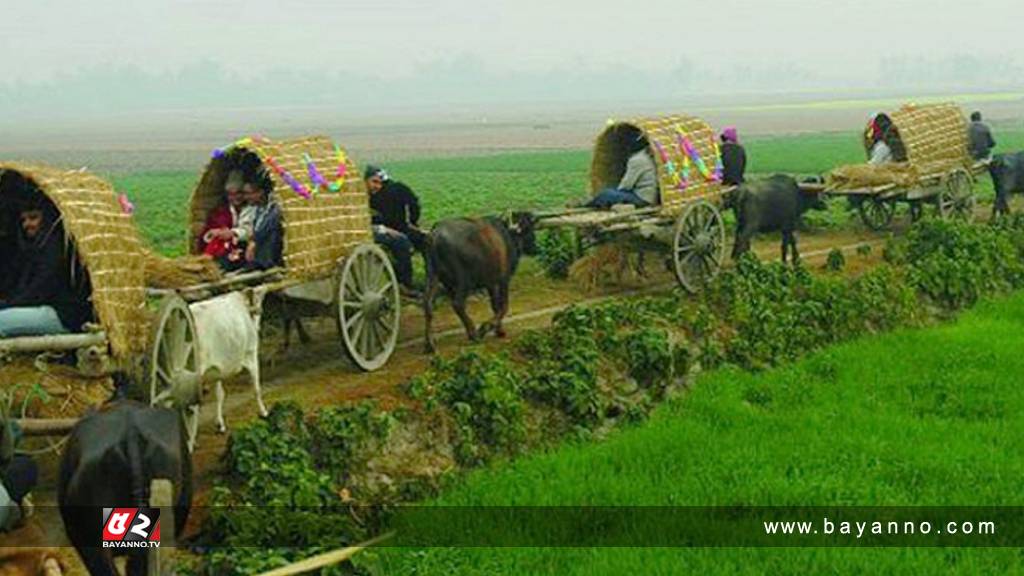 ঘোড়া নয়, পুরানো প্রথাতে বউ আনলেন যুবক!