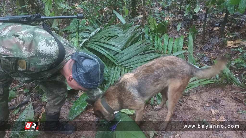 দুর্ঘটনার প্রায় তিন সপ্তাহ পর জীবিত উদ্ধার ৪ শিশু