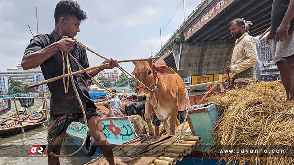 রাজধানীর কোরবানির হাটে পশু আছে, নেই বিক্রি