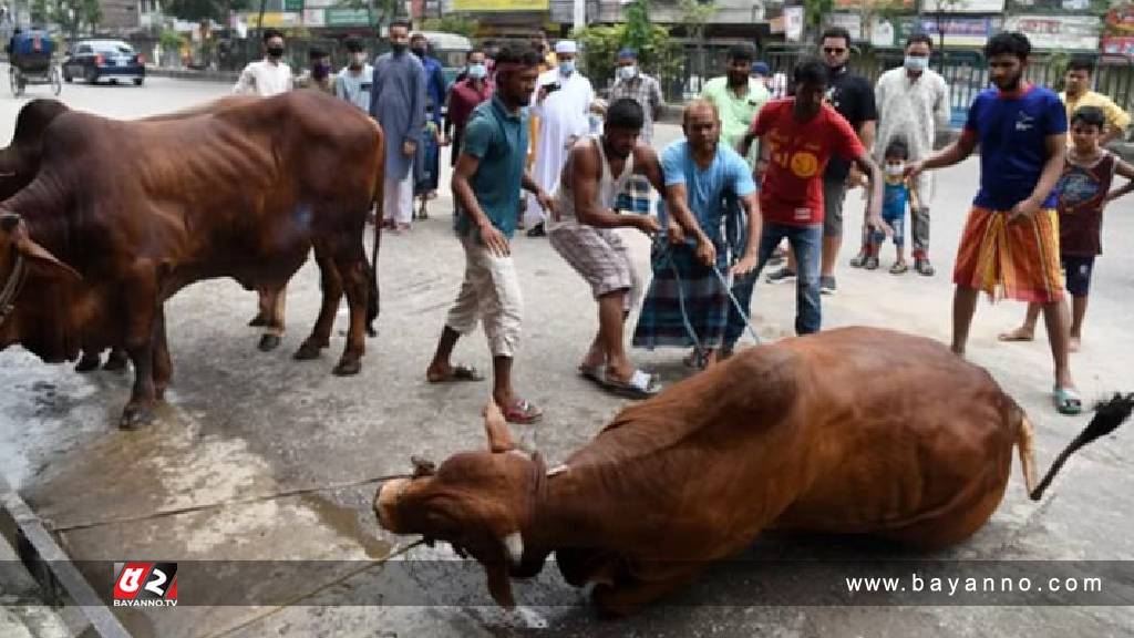 ঈদের দ্বিতীয় দিনেও রাজধানীতে চলছে পশু কোরবানি