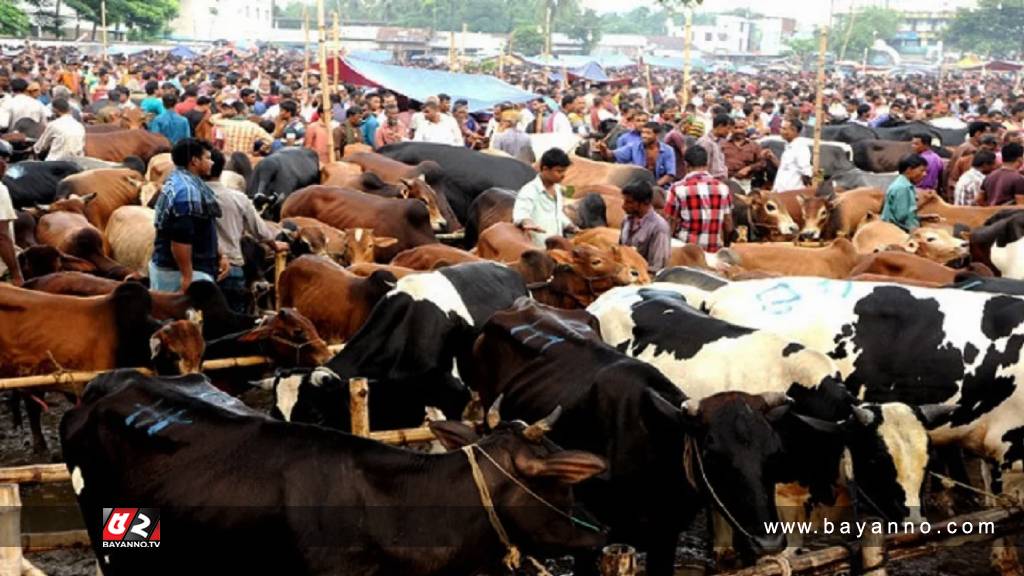 রাজধানীতে কোরবানির পশুর হাট বসবে যেসব স্থানে