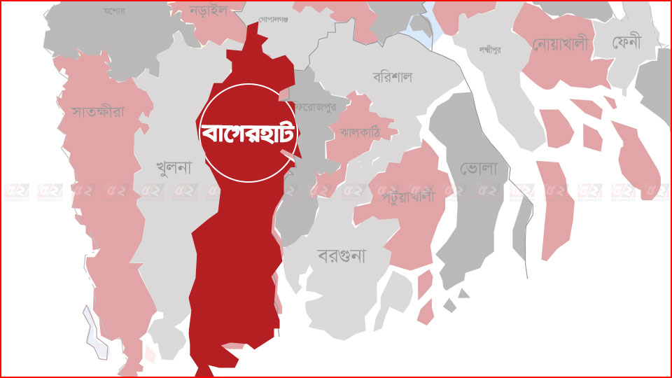 বিদ্যুৎস্পৃষ্টে স্বামী-স্ত্রীর মৃত্যু