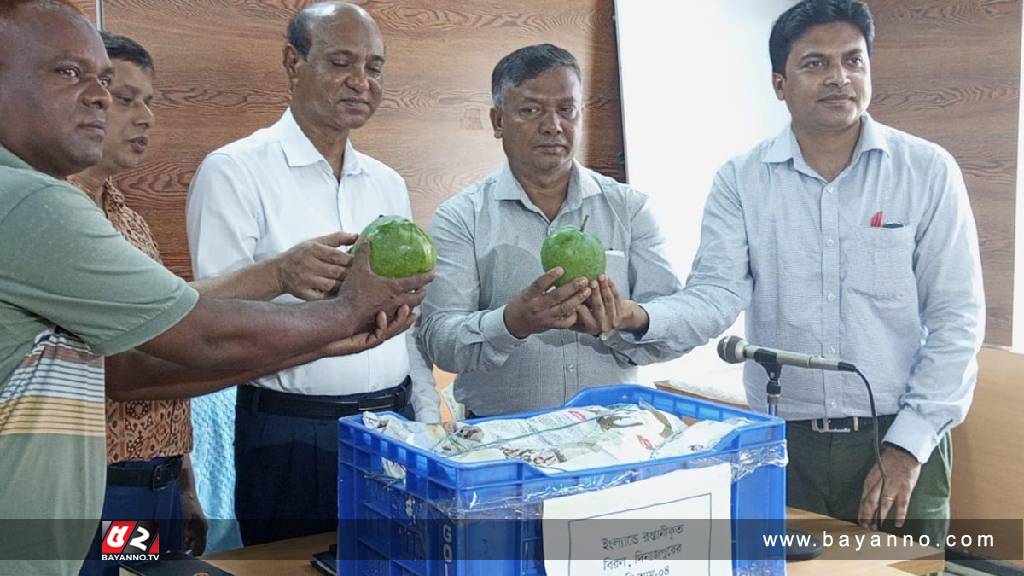 প্রথমবারের মতো ইংল্যান্ডে যাচ্ছে দিনাজপুরের আম