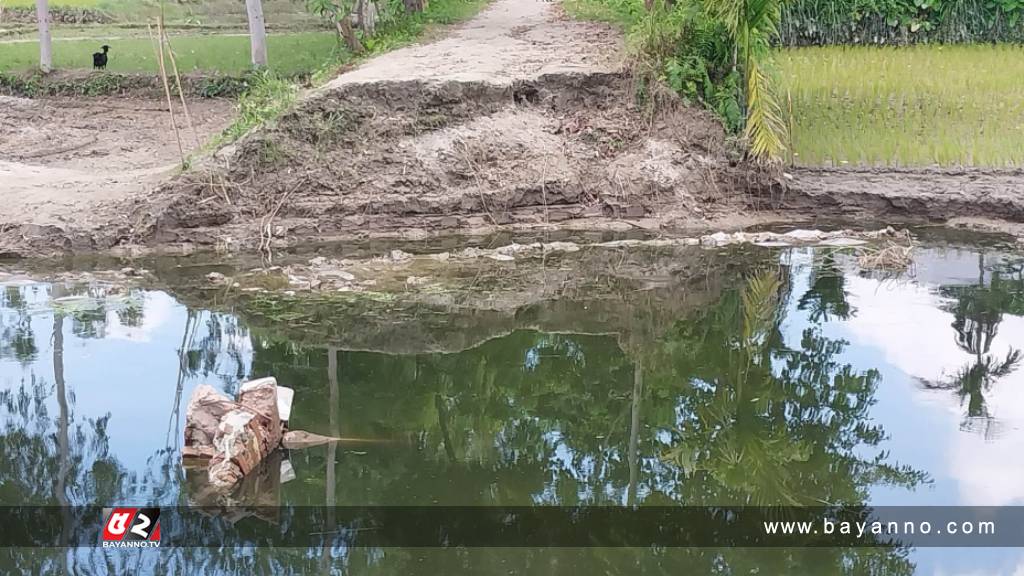 ফুলবাড়ীতে ব্রীজ ভেঙে সড়ক যোগাযোগ বিছিন্ন, দুর্ভোগ গ্রামবাসী