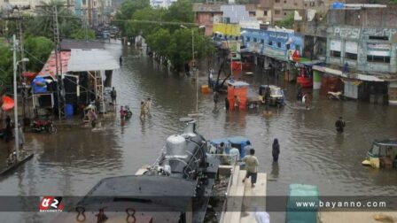 পাকিস্তান বন্যা