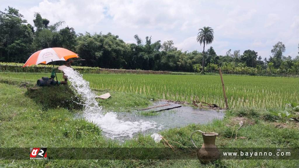 কুড়িগ্রামে তাপদাহে অতিষ্ঠ জনজীবন, কৃষিতে বাড়ছে অতিরিক্ত খরচ