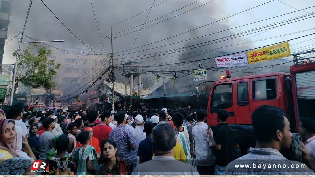 নিজেদের রক্ষায় নির্বাচন ছাড়া বিএনপির উপায় নেই : নানক