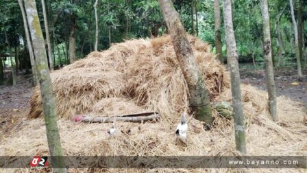 খড়ের গাদা