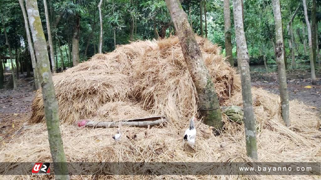 খড়ের গাদায় চাপা পড়ে দুই শিশুসহ মায়ের মৃত্যু