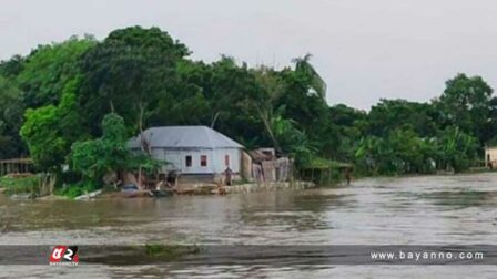 পদ্মার পানি , রাজবাড়ী