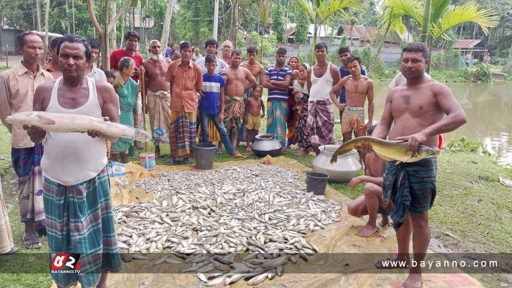 কীটনাশক দিয়ে পুকুরের আড়াই লাখ টাকার মাছ নিধন