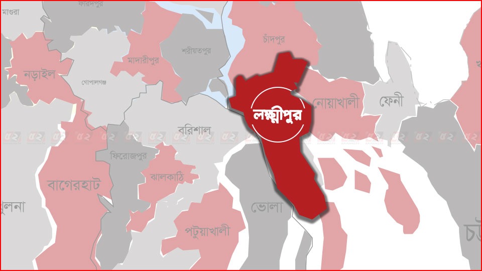 সেপটিক ট্যাংকে পড়ে দাদা-নাতির মৃত্যু