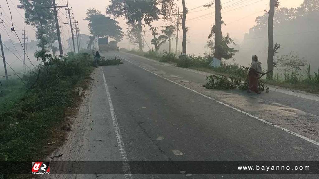 গাছ কেটে মহাসড়ক অবরোধ