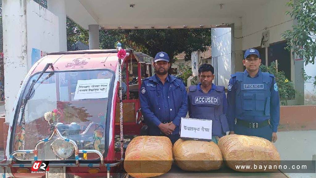 নাগেশ্বরীতে এক মণ গাঁজাসহ মাদক কারবারি গ্রেপ্তার