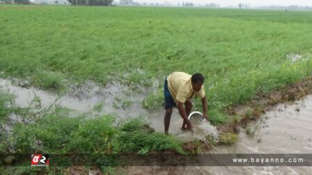 ছবিঃ সংগৃহীত