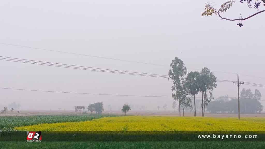 তাপমাত্রা খানিকটা বেড়ে কমছে শৈত্যপ্রবাহ