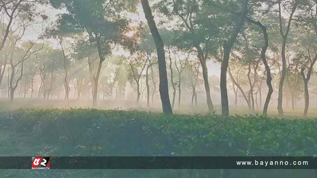 ঝলমলে রোদ উষ্ণতা ছড়ালেও সর্বনিম্ন তাপমাত্রা শ্রীমঙ্গলে