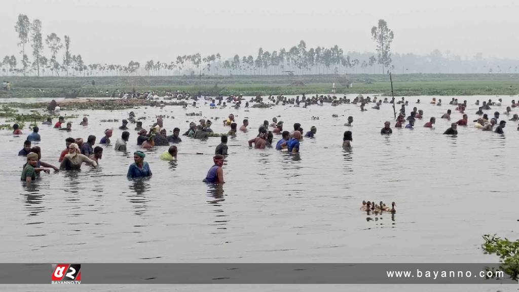 নরসিংদীতে ঐতিহ্যবাহী ‘পলো বাওয়া’ উৎসব