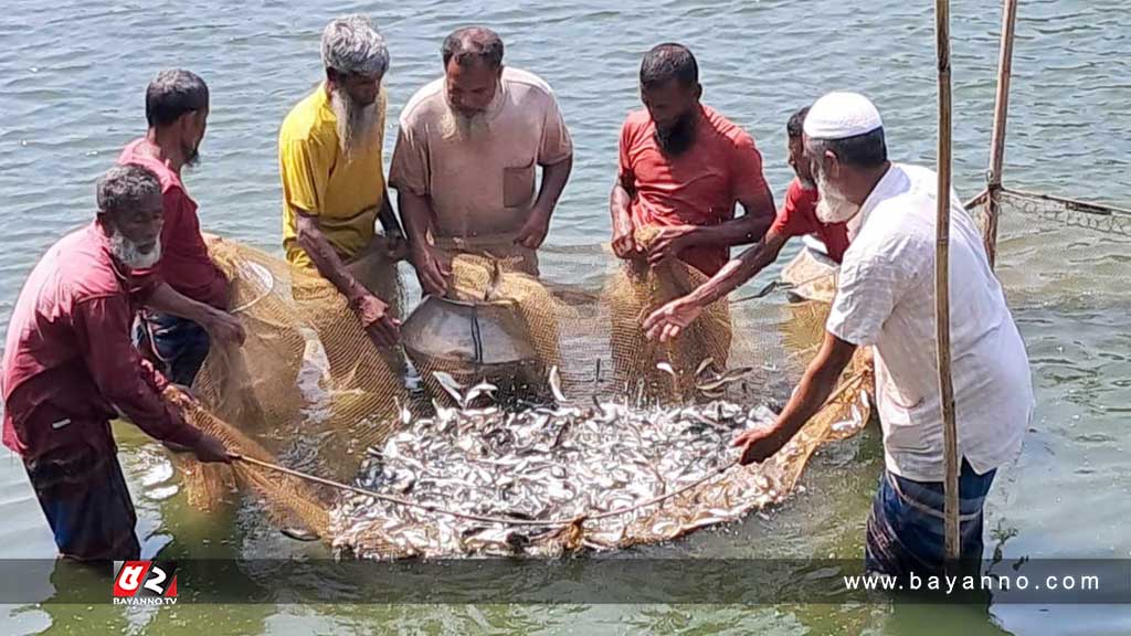 জি-৩ রুই রেণুপোনা চাষে লাখপতি ফারুক মন্ডল