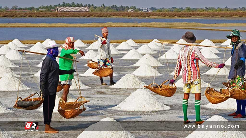 ৬৩ বছরের মধ্যে দেশে সর্বোচ্চ লবণ উৎপাদন