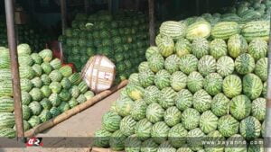 আড়তগুলোতে তরমুজের পাহাড়, নেই ক্রেতা