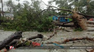 রেমালে ক্ষতি পৌনে ২ লাখ হেক্টর ফসলি জমি