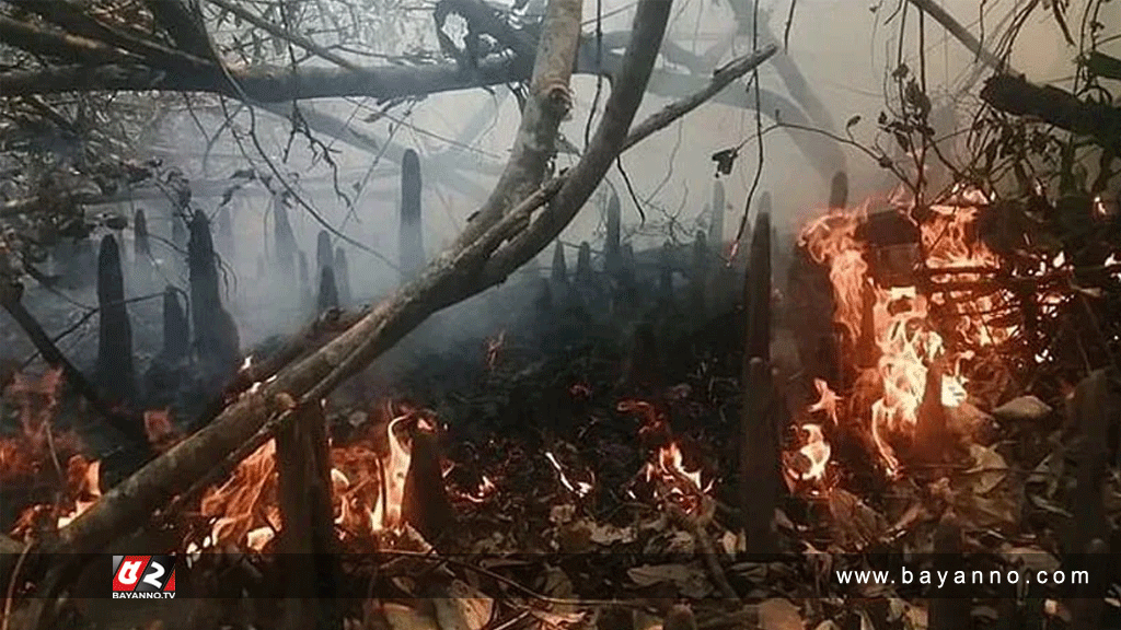 সুন্দরবনের গহীনে  আগুন