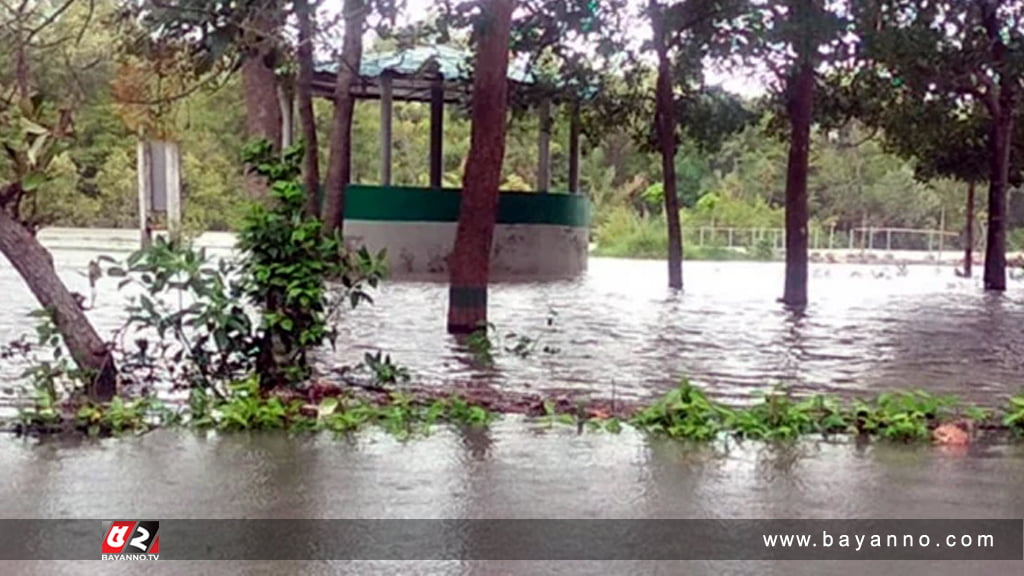 ঘূর্ণিঝড় রেমালে ক্ষতিগ্রস্ত সুন্দরবনের জীববৈচিত্র্য