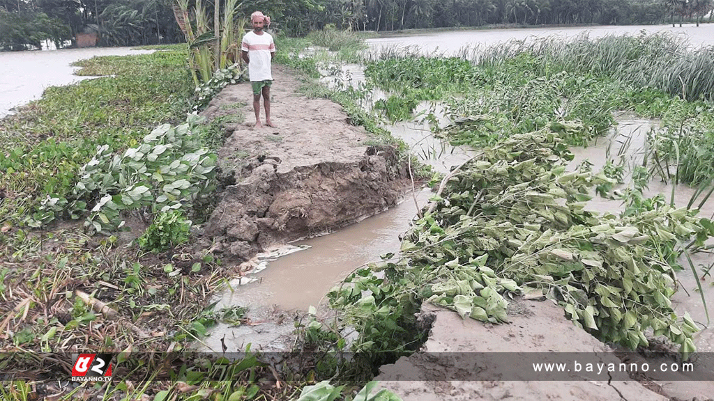 বরগুনায় বাঁধ ভেঙে কয়েকটি গ্রাম প্লাবিত